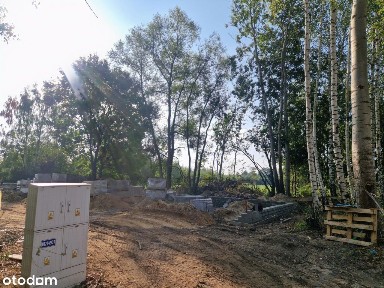 Natolin, Grodzisk Mazowiecki, grodziski, mazowieckie