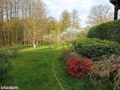 Dom z działką 7478m², lasem i dostępem do rzeki