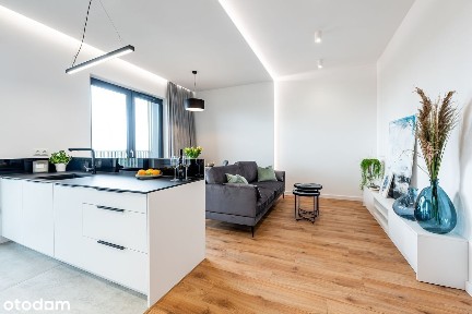 Premium, Pierwsza Dzielnica, Klimatyzacja, 2xGaraż, Taras widokowy