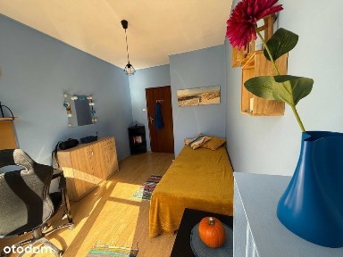 Wrocław, Stare Miasto, igielna 6