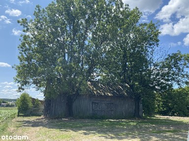 Gospodarstwo z dobrym dojazdem