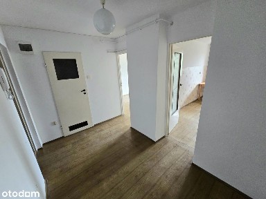 Słoneczne 1-pokojowe mieszkanie z balkonem.