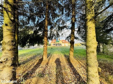 Dom z dużą działką w Pawłowie