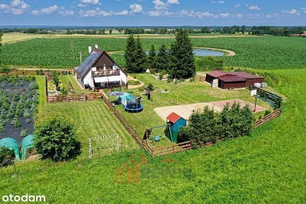 Dom w Rogajnach idealny pod agroturystykę