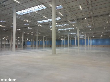 Magazyn na wynajem/12 000 m2/ Gdańsk-Koszwały