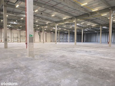 Hala na wynajem/ 2500 m2/ Koszwały