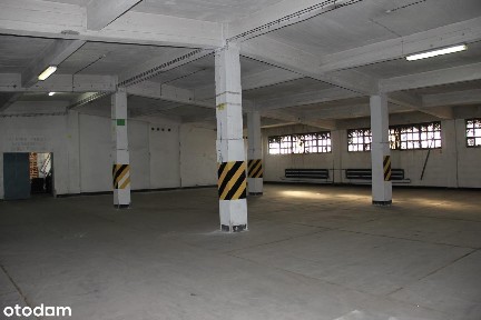Ptasia, Pogoń, Sosnowiec, śląskie