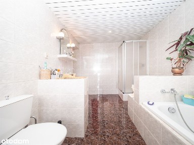 Posiadłość 45 arów+ 2 budynki pod Nowym Sączem