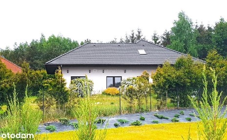 Dom nad Jeziorem Pile na Sprzedaż