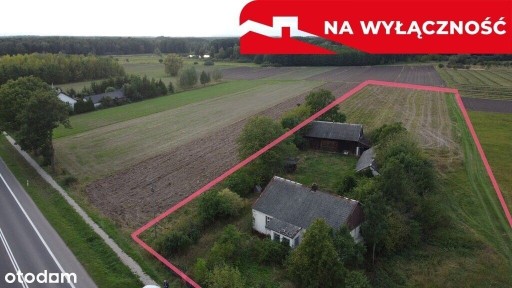 Siedlisko na dużej działce w Dobrucie gm. Orońsko.