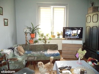 Kawalerka w centrum miasta