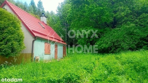 Domek w środku lasu, Ostrzyce Rokitki