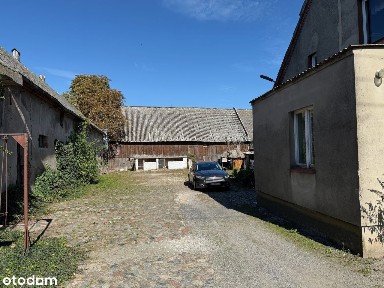 Duża działka z domem i zabudowaniami- Padniewko, gm. Mogilno