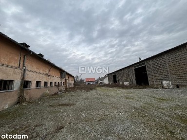 Magazyny, Hale, Ełk - Sprzedaż