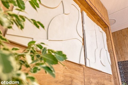 Przedmieście Świdnickie, Stare Miasto, Wrocław, dolnośląskie