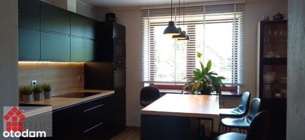 Dom, 250 m², Kamień