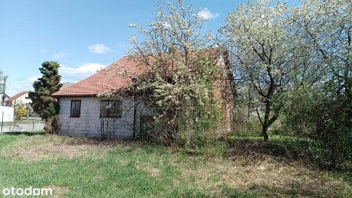 Sprzedam dom w Bebelnie