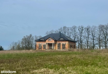 Dom/Pałac z działką 1,5 ha w pobliżu Szczecina