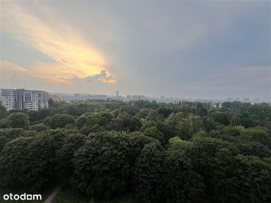 Gdańsk Zaspa 3 pokoje w Awiatorze, widok na morze