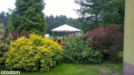 Chrzanów, chrzanowski, małopolskie