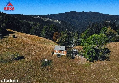 Wyjątkowe siedlisko pośród lasów w Piwnicznej