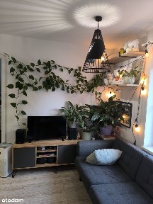 Mieszkanie 2-pok, Godula