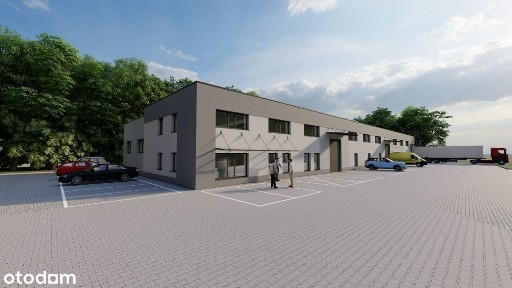 Tarnów, małopolskie