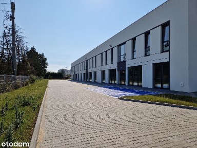 Świecie, świecki, kujawsko-pomorskie