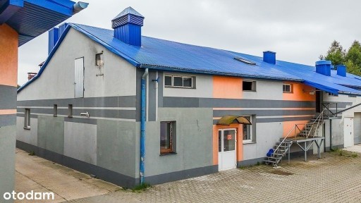 Panki, Tysiąclecia | Lokal na wynajem