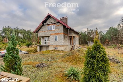 Dom z wielką działką w Cychrowskiej Woli