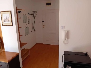 Wynajmę kawalerkę SADY