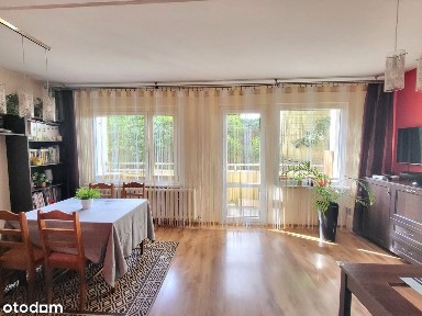 Mikołów, mikołowski, śląskie