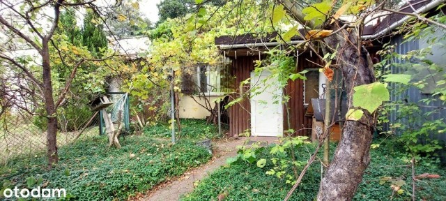 Mieszkanie z dużą działką w budynku szeregowym