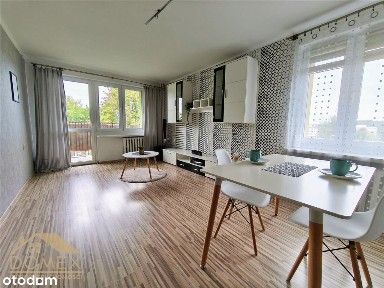 Wodzisław Śląski, wodzisławski, śląskie