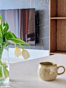 Śródmieście-Północ, Śródmieście, Szczecin, zachodniopomorskie