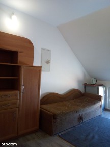 Mieszkanie do wynajęcia