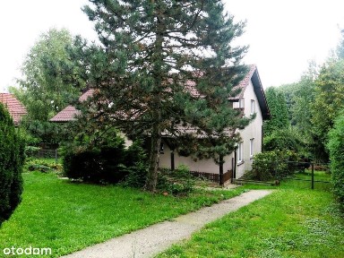 Gaj, Mogilany, krakowski, małopolskie