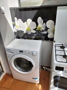 Kawalerka do wynajecia.