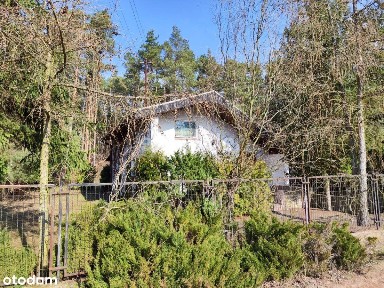 Domek letniskowy Ostrowo, jezioro powidzkie