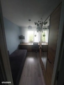 Mieszkanie, 49,50 m², Wieliszew