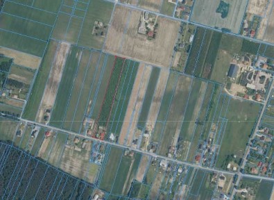 Sprzedam siedlisko w Oblasach