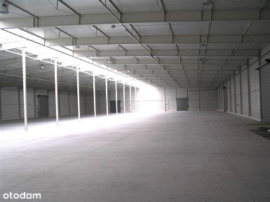 Wysogotowo obiekt produk-magazyn-biuro 4270m2-działka 1 ha- 0 PROWIZJI