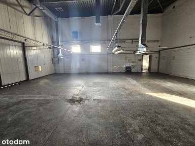 Zakrzewo, Dopiewo, poznański, wielkopolskie