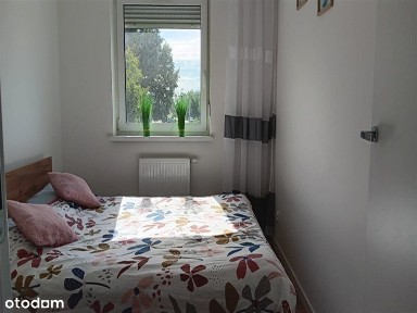 Leszno, wielkopolskie