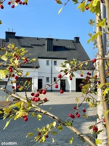 Bolszewo, Wejherowo, wejherowski, pomorskie