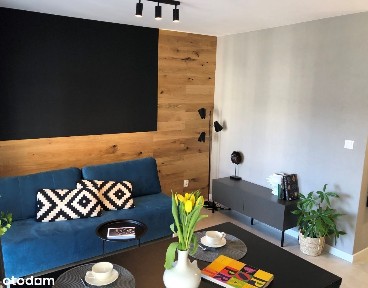 Apartament 1 pok. typu STUDIO