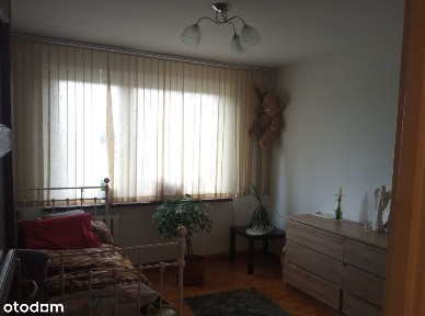 2 pokojowe mieszkanie z potencjałem! Niskie 1 piętro