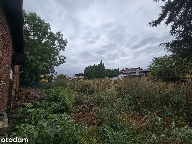 ul. Katowicka, Czułów, Tychy, śląskie