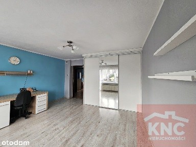 Bełchatów, bełchatowski, łódzkie