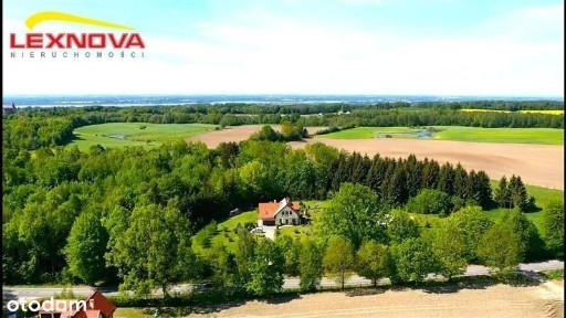 Dom wolnostojący - Sierpin